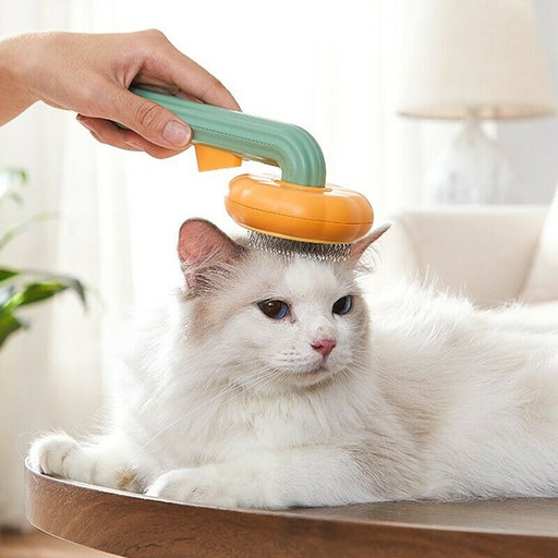 Pet Pumpkin Brush, Pet Grooming Self Cleaning Slicker Brush For Dogs Cats Puppy Rabbit, Cat Brush Grooming Gently