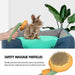 Pet Pumpkin Brush, Pet Grooming Self Cleaning Slicker Brush For Dogs Cats Puppy Rabbit, Cat Brush Grooming Gently