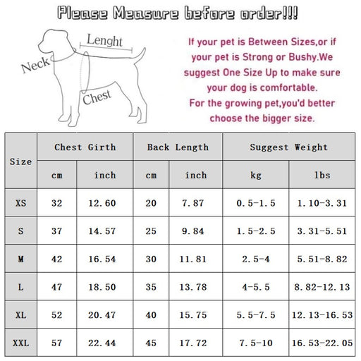 Winter Thickened Dog Clothes, Bear Baseball Jackets, Towing Cotton-padded Clothes, Autumn And Winter Warm Clothing For