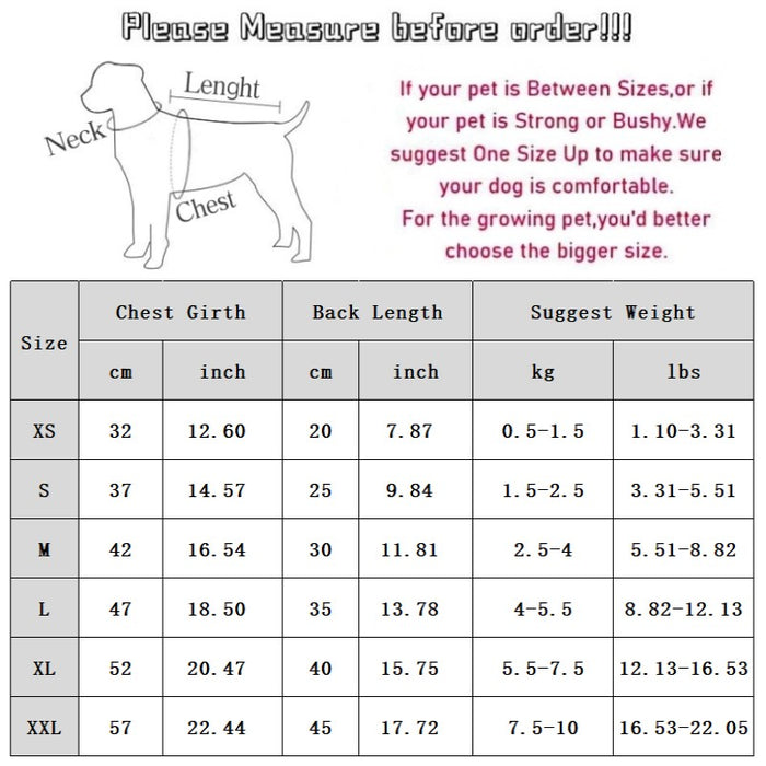 Winter Thickened Dog Clothes, Bear Baseball Jackets, Towing Cotton-padded Clothes, Autumn And Winter Warm Clothing For