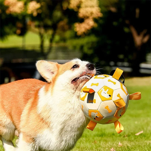 Dog Interactive Football Toys Children Soccer Dog Outdoor Training Balls Pet Sporty Bite Chew Teething Ball With Cute
