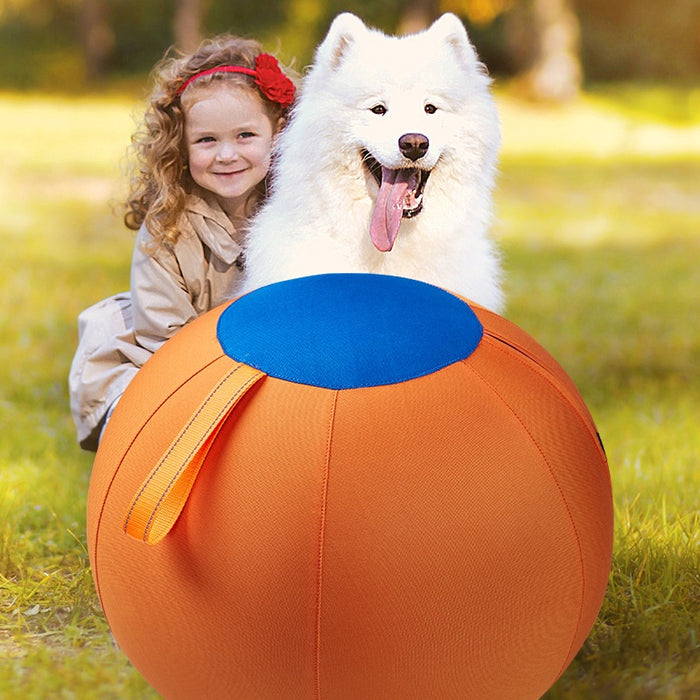 Complete Set Of Golden Retriever Chew-resistant Balls For Entertainment
