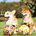 Dog Interactive Football Toys Children Soccer Dog Outdoor Training Balls Pet Sporty Bite Chew Teething Ball With Cute